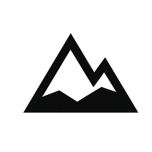 Persona Non Intra logo