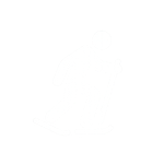 Snowshoeing icon