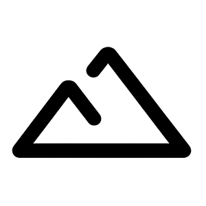 Persona Non Intra logo